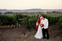 Kissing in the vineyard.jpg